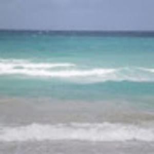 Meet your Posher, Carla